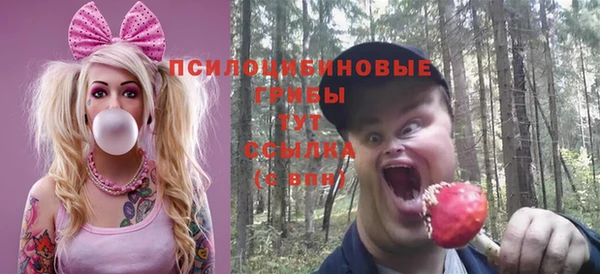 соль ск Абинск