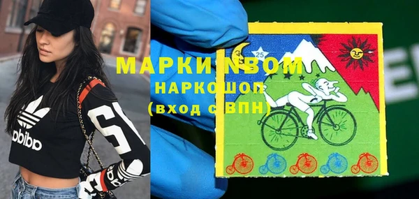 дживик Абаза